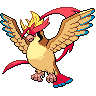 Mega Pidgeot