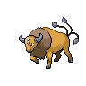 Tauros (Paldea Combat)
