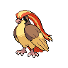 Pidgeot (Mega)