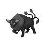 Paldean Tauros (Combat Breed)
