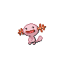 Wooper
