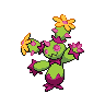 Maractus