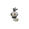 Scatterbug