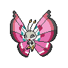 Vivillon