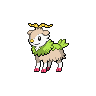 Skiddo