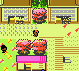 A town street with a Mart and a Pokémon Center, flower beds in bloom and the player walking between them