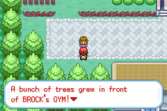 Trees blocking the entrance to Brock's gym