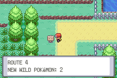Route 4, with a note that there are two new wild Pokémon