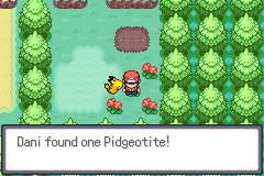 A wooded route with red flowers, the player and a Pikachu standing together and the message “Dani found one Pidgeotite!”