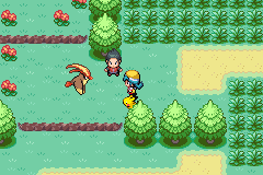 A hedge-lined path with the player walking beside a Pikachu and a running Ponyta ahead of them
