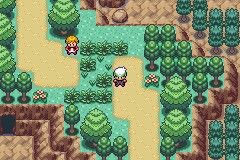 A forest route with a trainer and a hiker