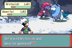 A double battle in the snow against a level 43 Arctovish and a level 43 Weavile