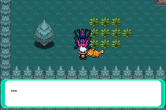 The player standing at the edge of a patch of tall grass on a green route
