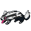 Linoone (Galar)