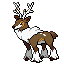 Sawsbuck (Winter)