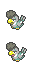 Squawkabilly (White)