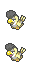 Squawkabilly (Yellow)