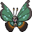 Vivillon (Jungle)
