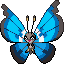 Vivillon (Marine)