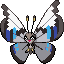 Vivillon (Monsoon)