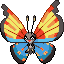 Vivillon (Ocean)