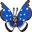 Vivillon (Polar)