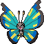 Vivillon (Savanna)