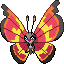 Vivillon (Sun)