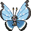 Vivillon (Tundra)