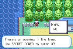 The player standing at a fenced gap in a row of trees, with a yes/no box and the line "There's an opening in the tree. Use SECRET POWER to enter it?"