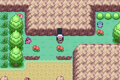 The player on a sandy cave path with pink and red flowers growing between rock walls