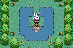 The player surfing on a small forest pond toward a large Pokémon