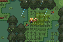 A rainy forest path with two trainers