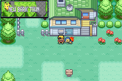 New Bark Town, with Cyndaquil following the player