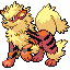 Arcanine