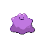 Ditto