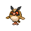 Hoothoot