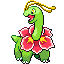Meganium