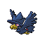 Murkrow