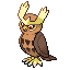 Noctowl