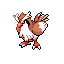 Pidgey