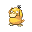 Psyduck