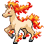 Rapidash