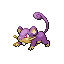 Rattata