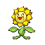 Sunflora