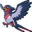 Swellow