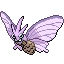 Venomoth
