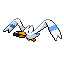 Wingull