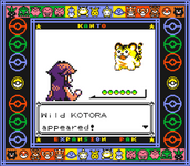 A wild Kotora appearing
