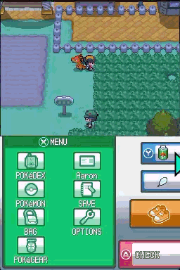 A town street with a signpost and tall grass beside a fenced lawn, with the DS menu open below listing Pokédex, trainer name Aaron, Pokémon, Save, Bag, Options and Pokégear